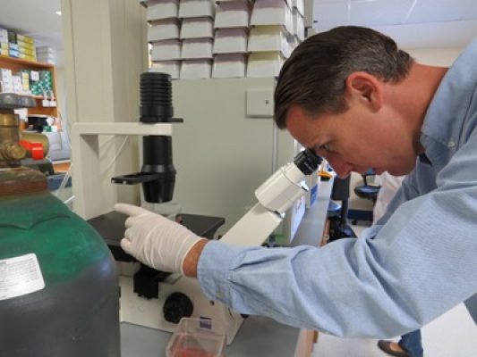 aaron lab